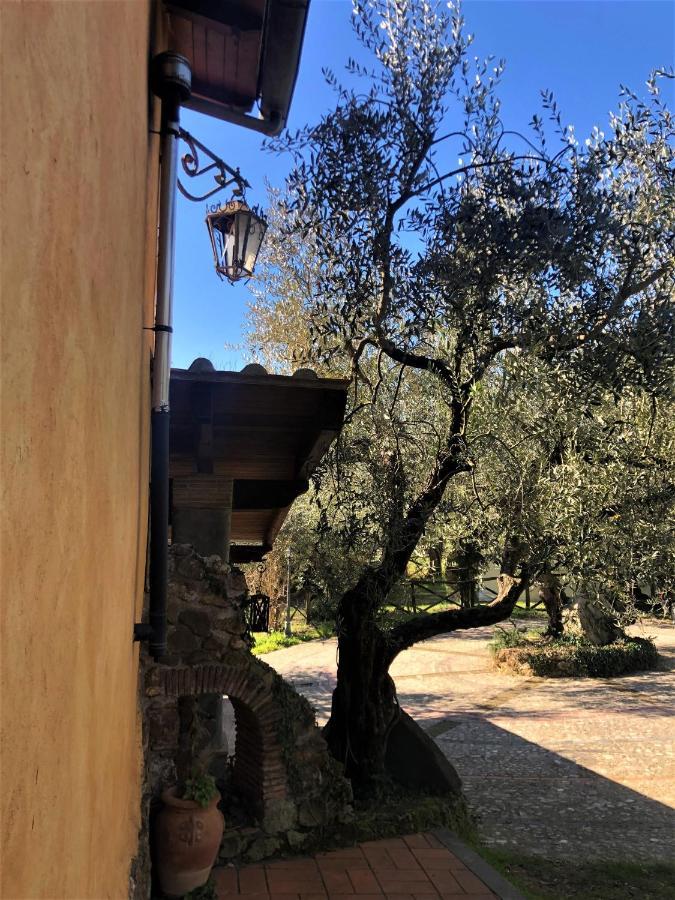 Casale L'Antica Mola Villa Castel Madama Exterior photo